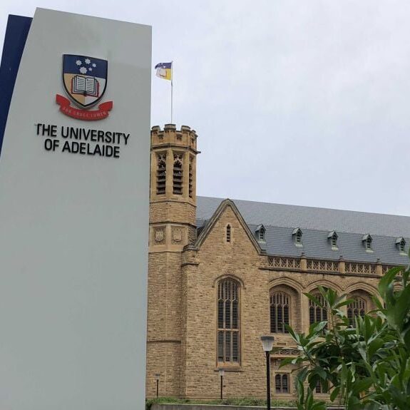 260057432 2922968597966978 3767856215260086526 n