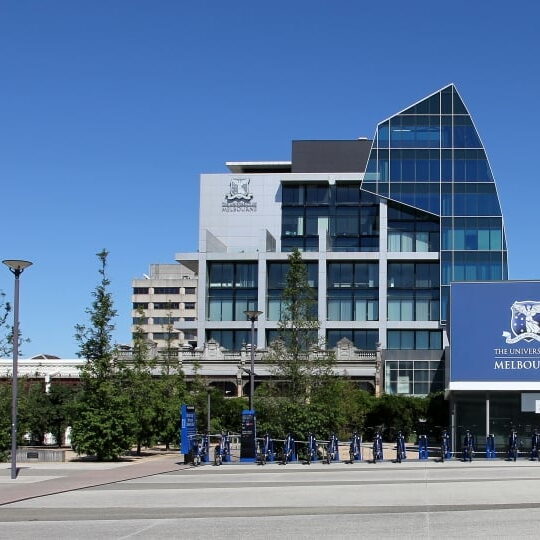 260664809 2922968581300313 7517550078315805366 n