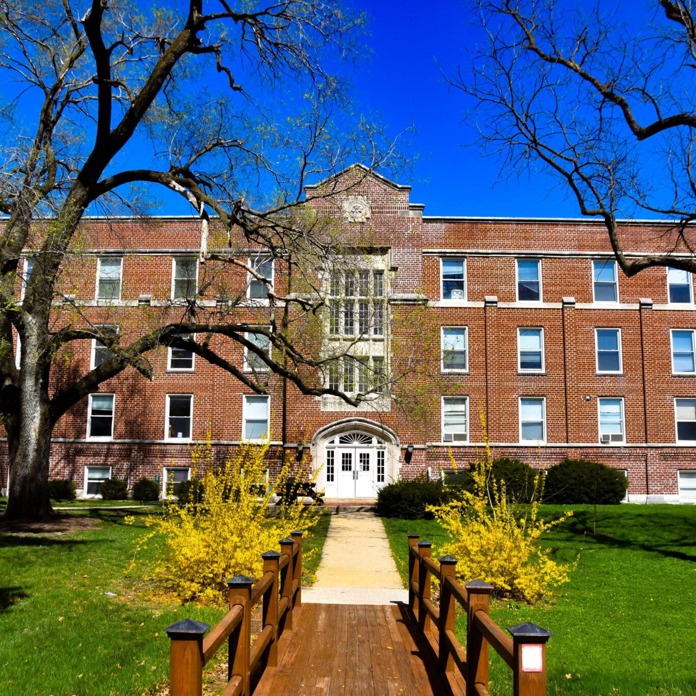 288629797 4585606551539494 5515205038289297590 n