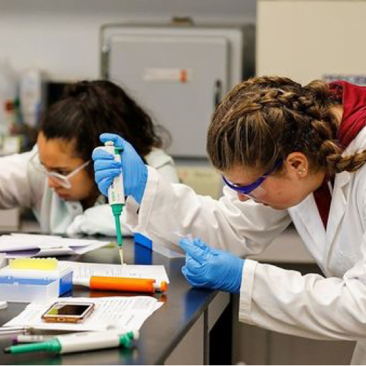 St. Thomas Aquinas College – Sparkill, New York 1 st1