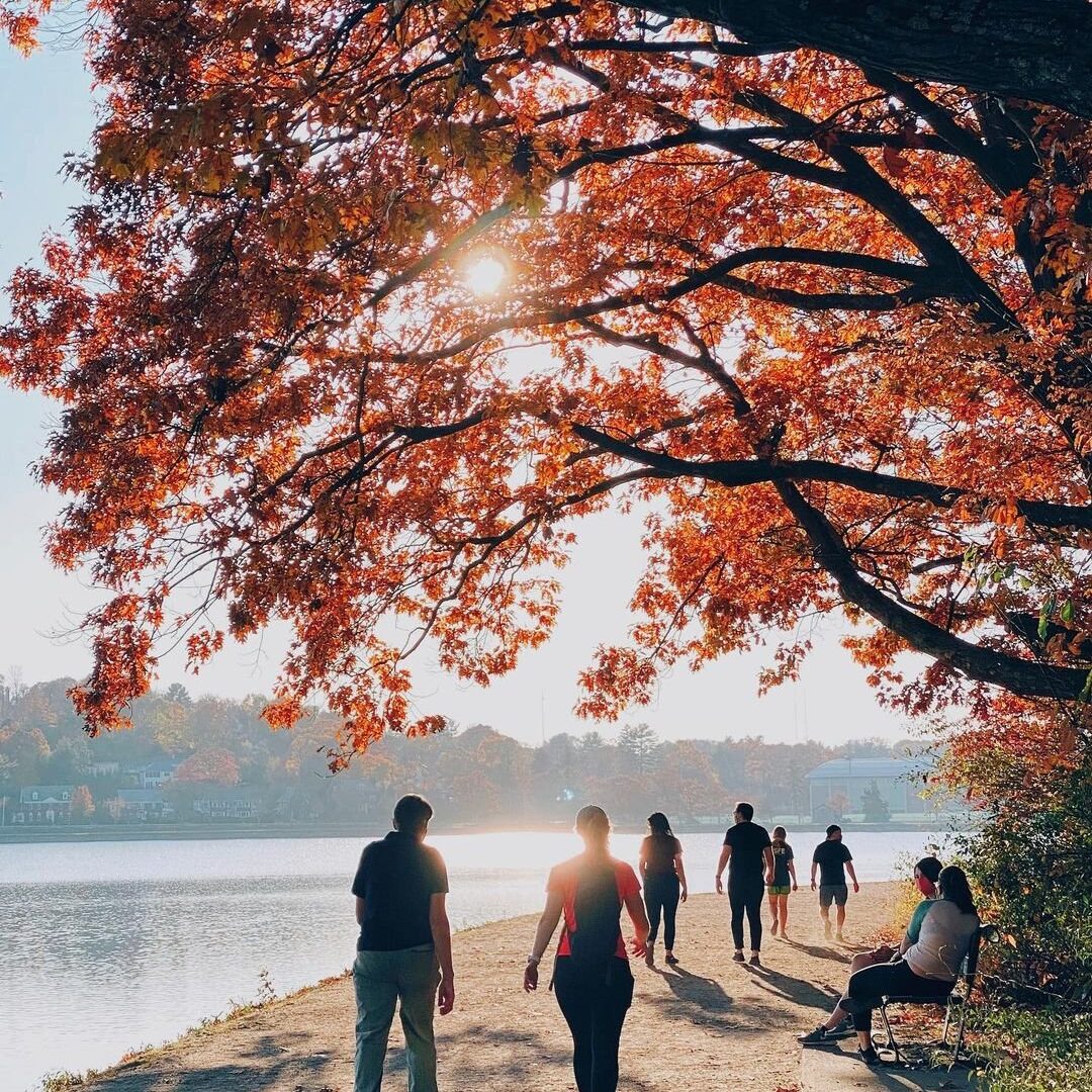 09848645aff11502179c17a5c4fa966f0900c93c4f0e238750f1d8bff815da11