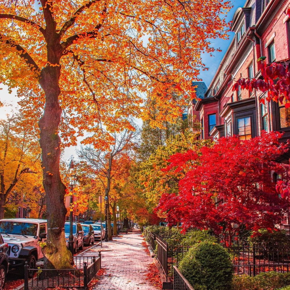 Du học Canada - Cơ hội nghề nghiệp và định cư 4 fa4b5ebda81aa8ae903348542b655d13aaf32c3f7f72348f25c7c6e2340c541f