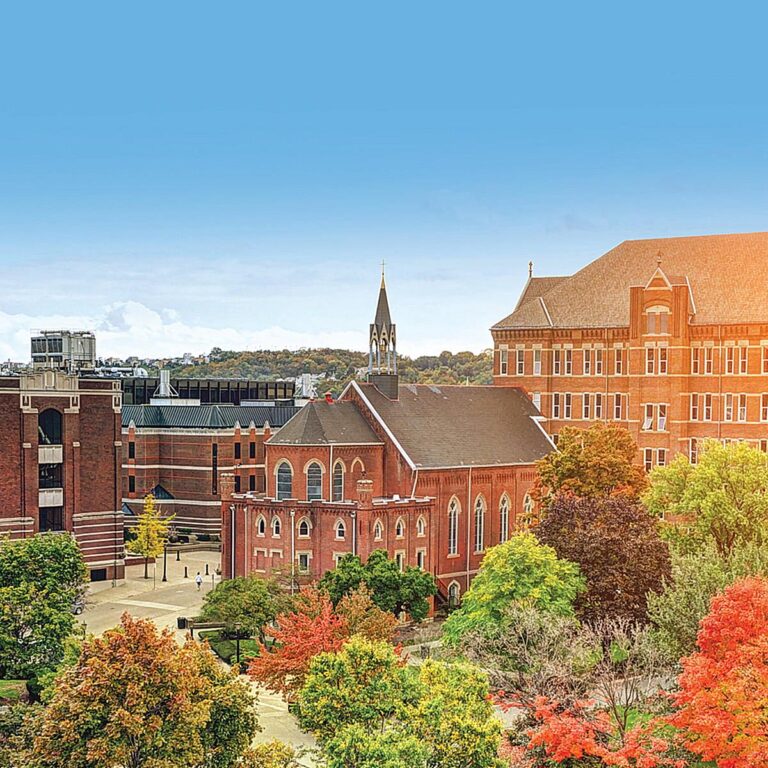 1-concentrate 1 concentrate