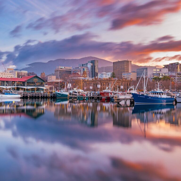 ADELPHI UNIVERSITY - NEW YORK 1 123