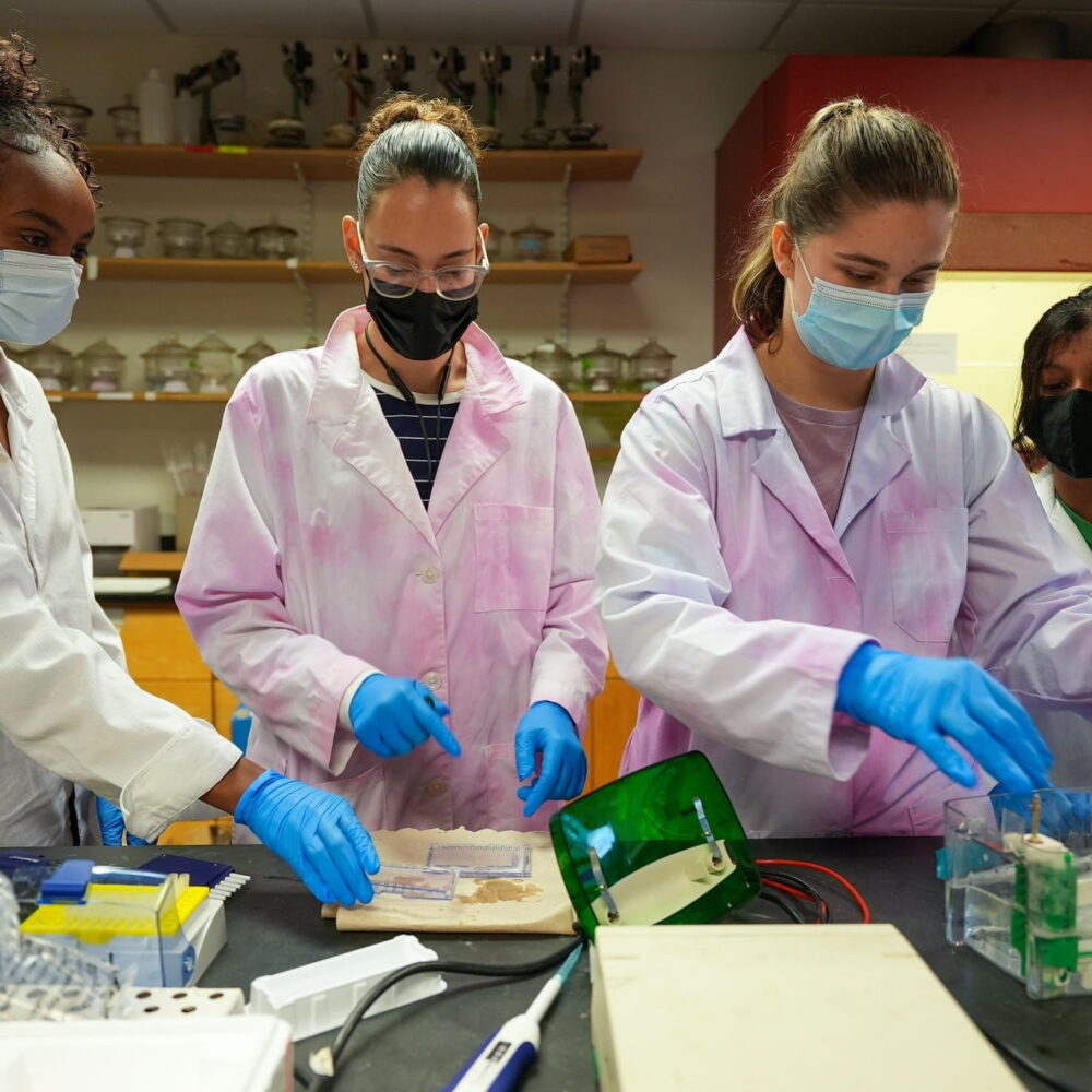 Du học Canada - Cơ hội nghề nghiệp và định cư 2 sim5