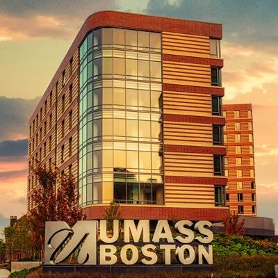 INTERNATIONAL PATHWAY 1+3 (IPP) 3 1 3