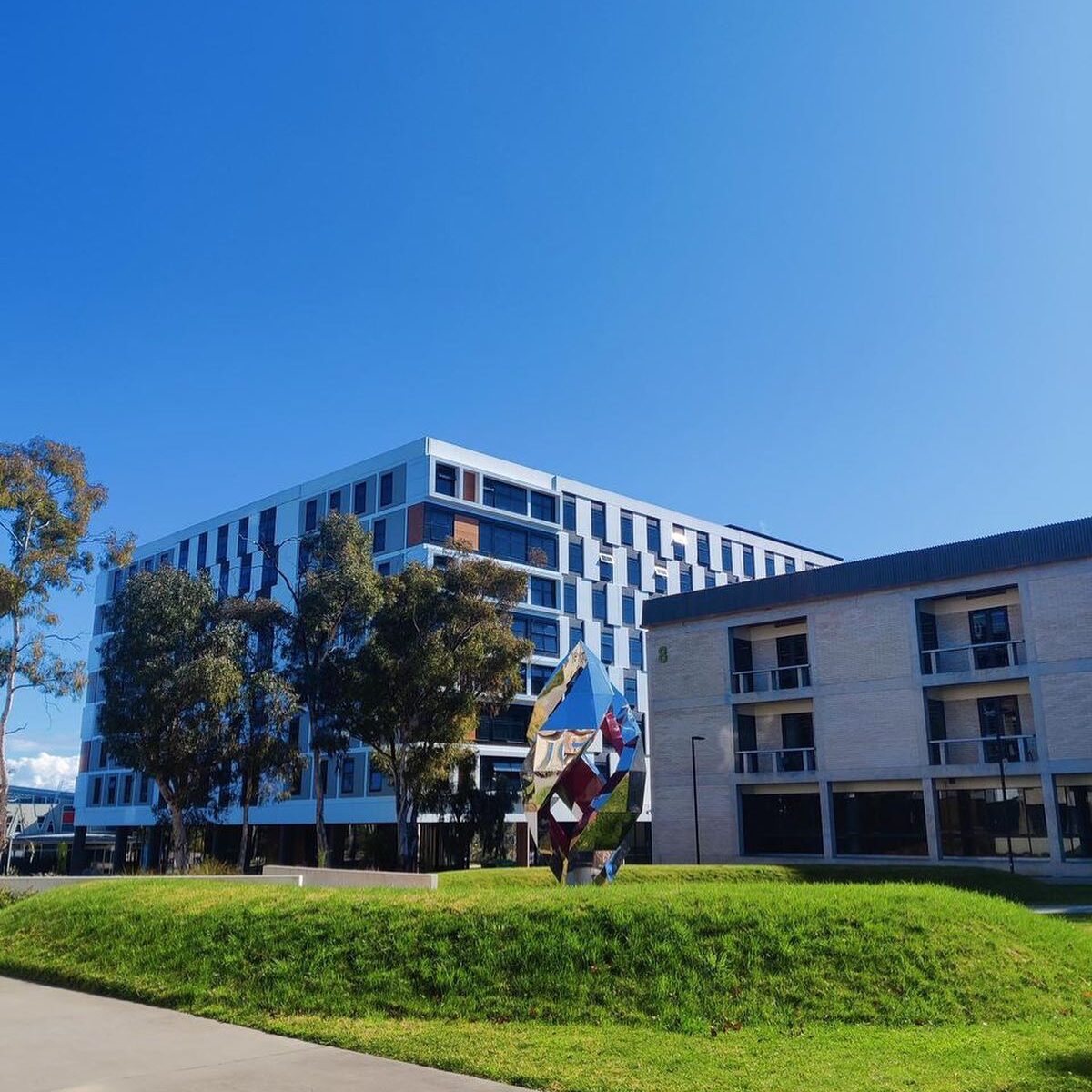 UNIVERSITY OF CANBERRA 1 7 1