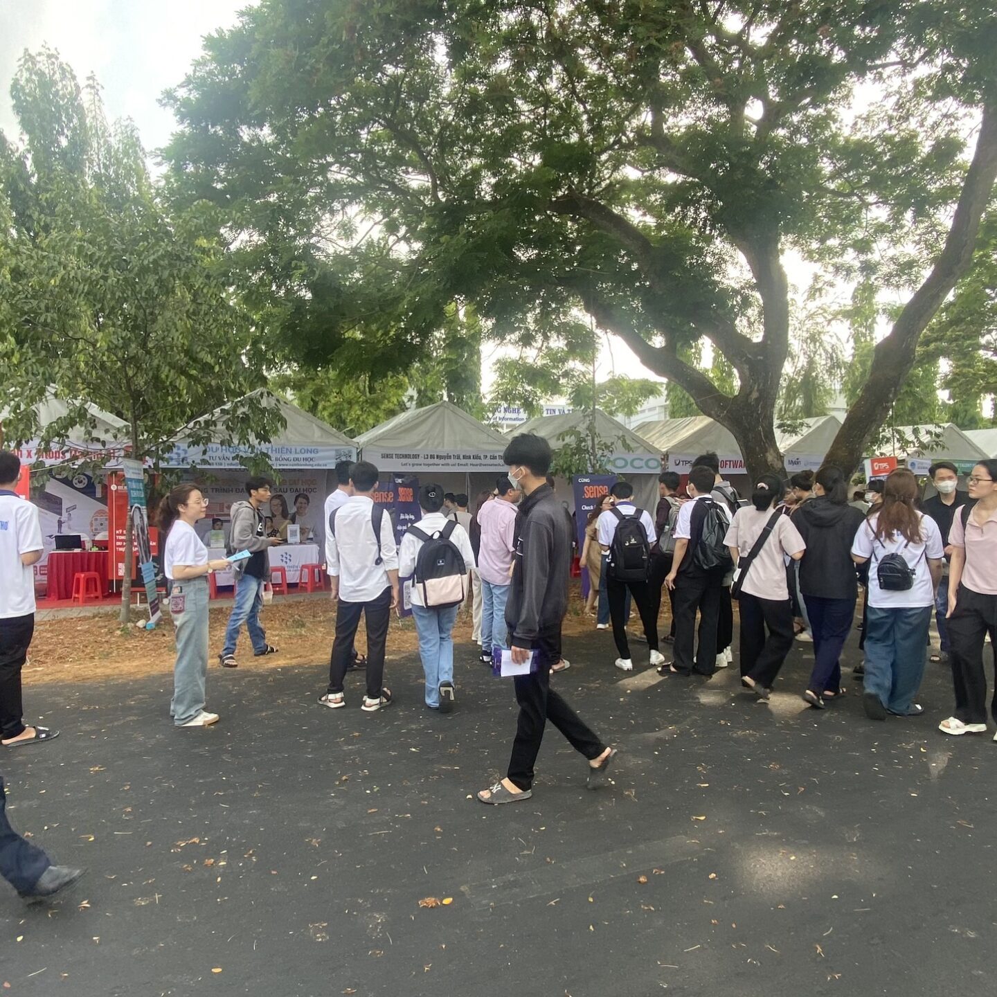 z5322230273973 d0e7f26a436aa1555bc432ab5c118930 scaled