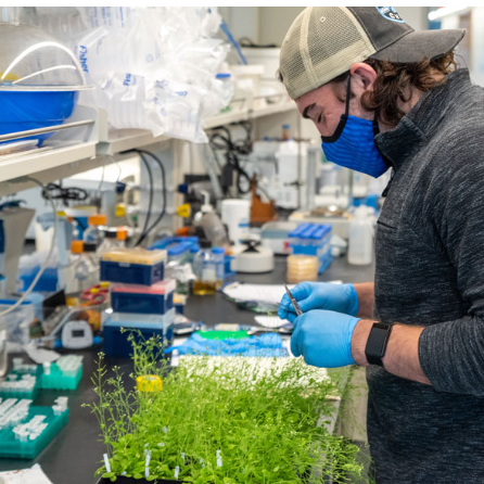 AMERICAN UNIVERSITY 5 Capture 3