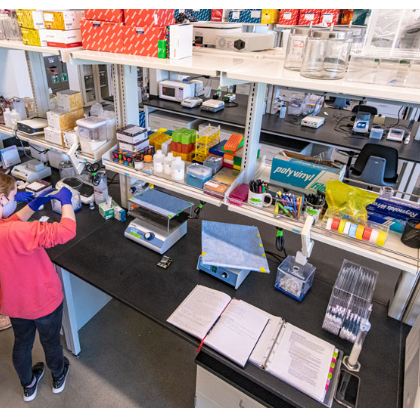 AMERICAN UNIVERSITY 9 thinghiem