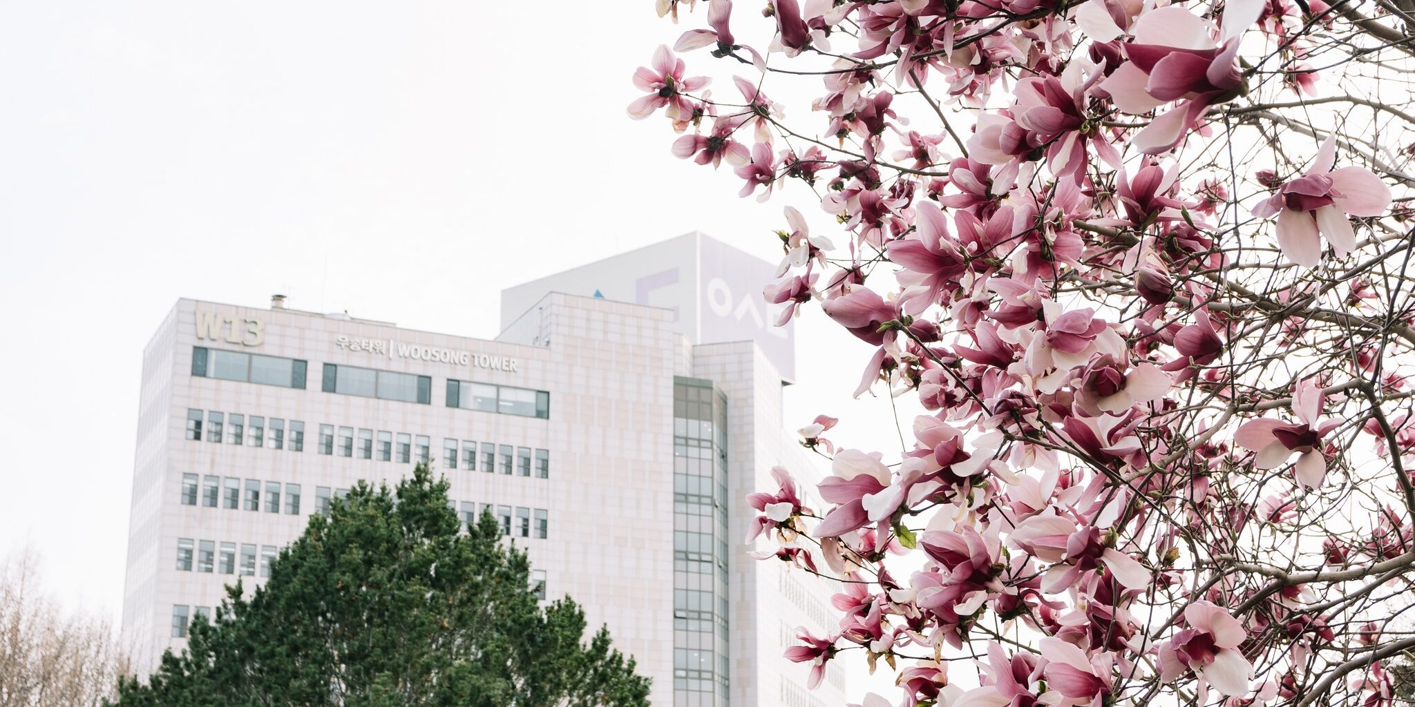WOOSONG UNIVERSITY WOOSONG UNIVERSITY