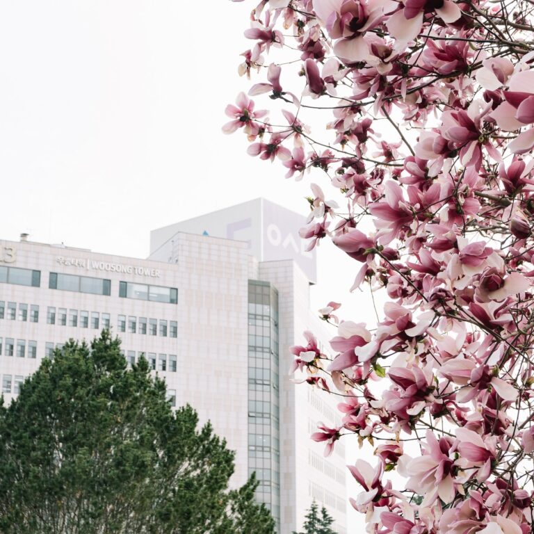 WOOSONG UNIVERSITY WOOSONG UNIVERSITY