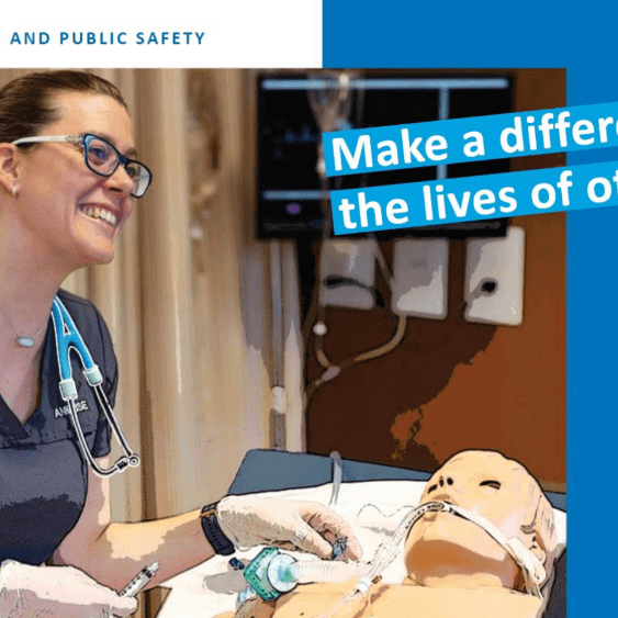 Screenshot 2024 12 27 091551