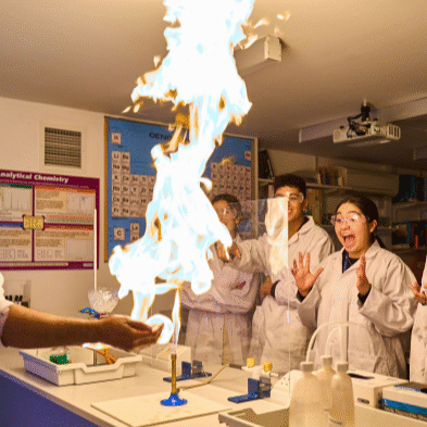 Screenshot 2025 06 18 080924