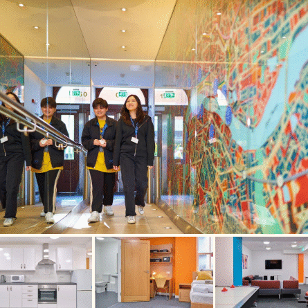 Screenshot 2025 06 18 082648