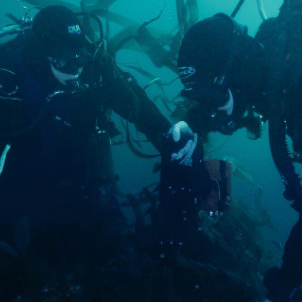 Screenshot 2025 06 30 144201