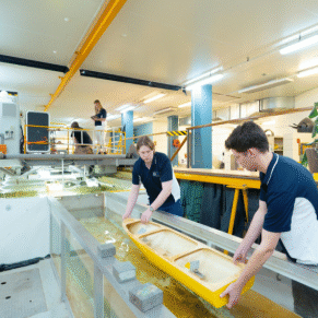 Screenshot 2025 06 30 144208