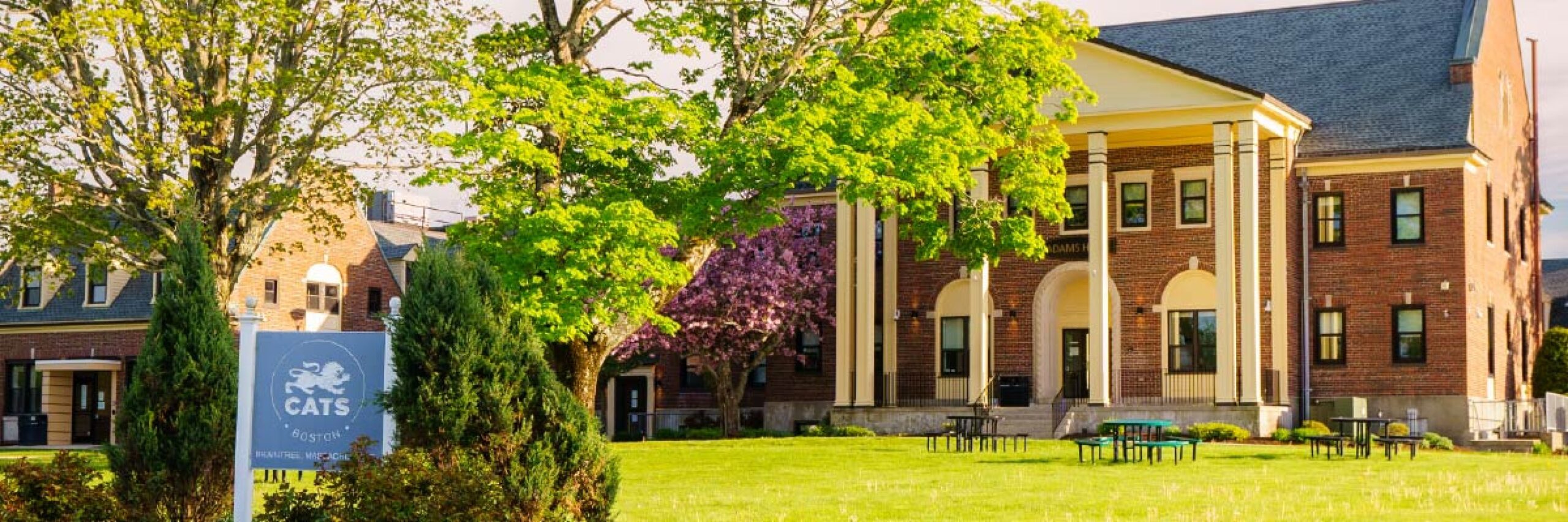 CATS ACADEMY BOSTON