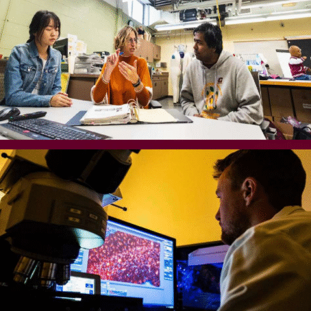 Screenshot 2025 09 05 133005