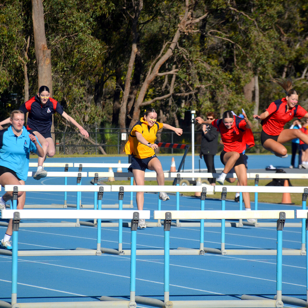 535478187 1443260833820000 7368725670499925307 n