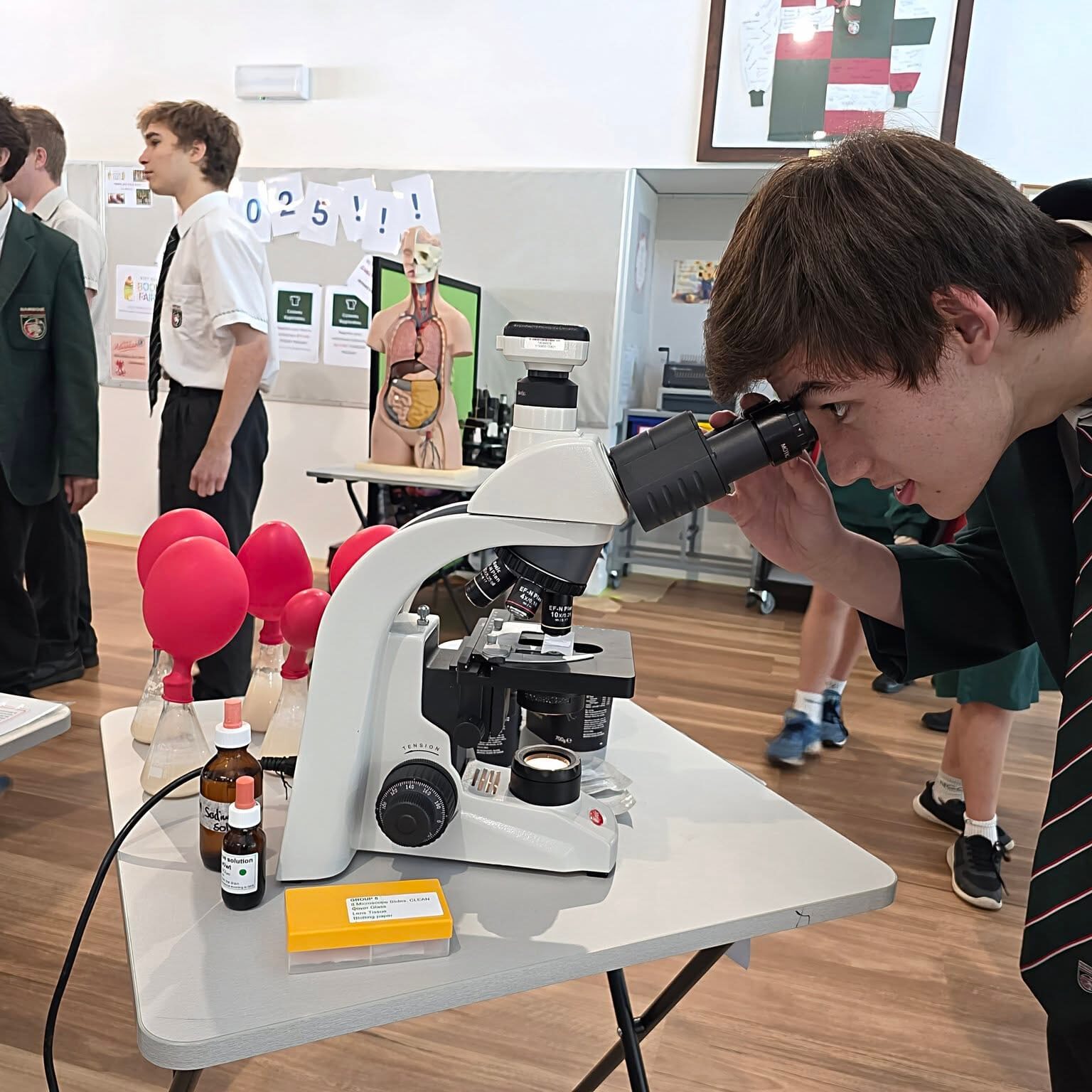 535808716 1677511116760691 2020830564853560778 n