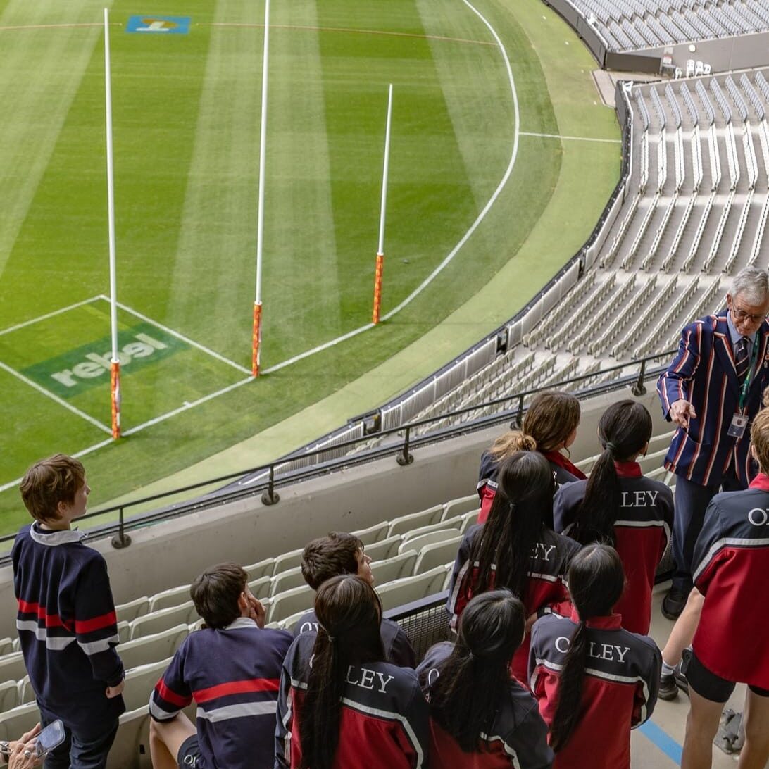 557114602 1378393000960733 3594420528709291924 n