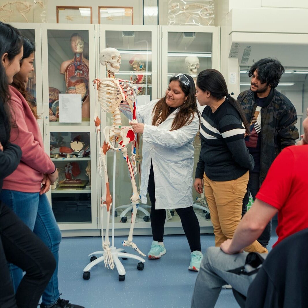 UNIVERSITY OF BRIDGEPORT 5 484232662 1090473503117640 6351952362435071399 n