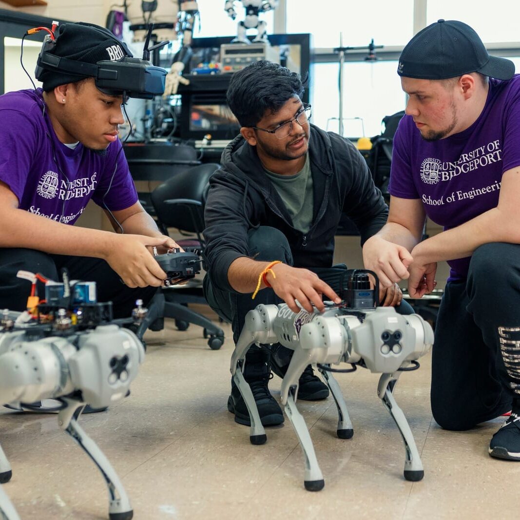 UNIVERSITY OF BRIDGEPORT 6 485148974 1096358122529178 9189271685970295278 n