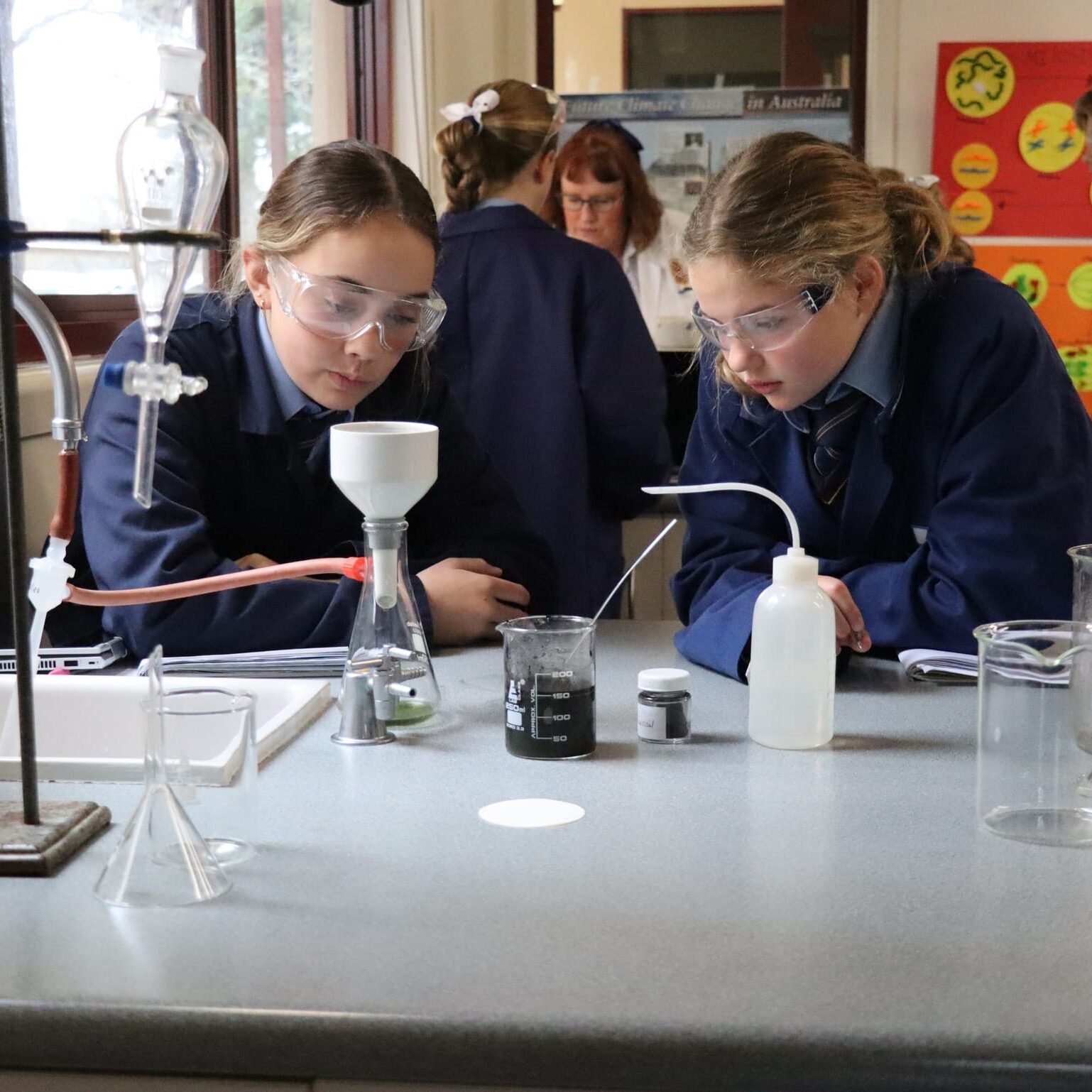 528806367 1352867360174302 4455609079044184366 n