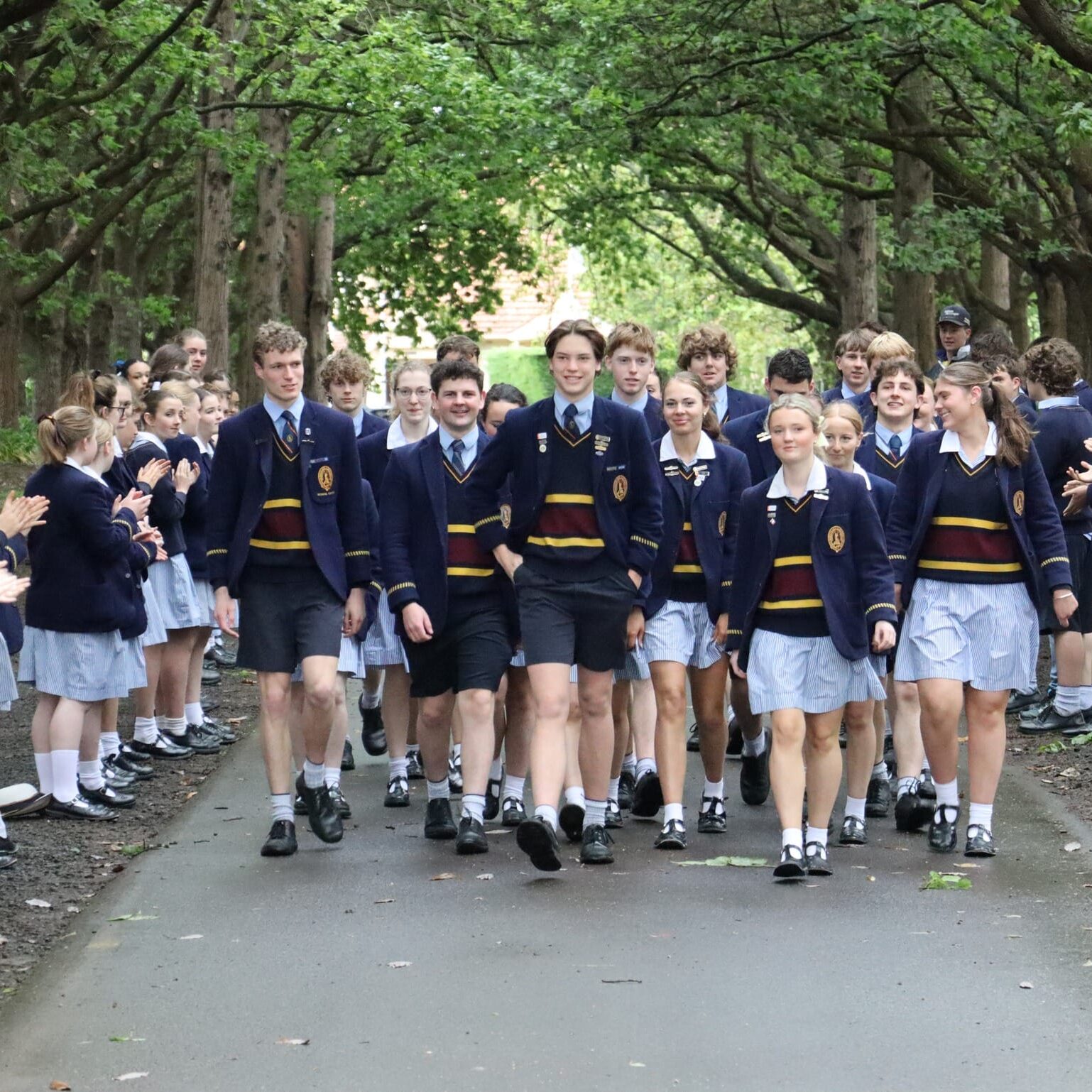 571116064 1424533996340971 2281699184246249193 n