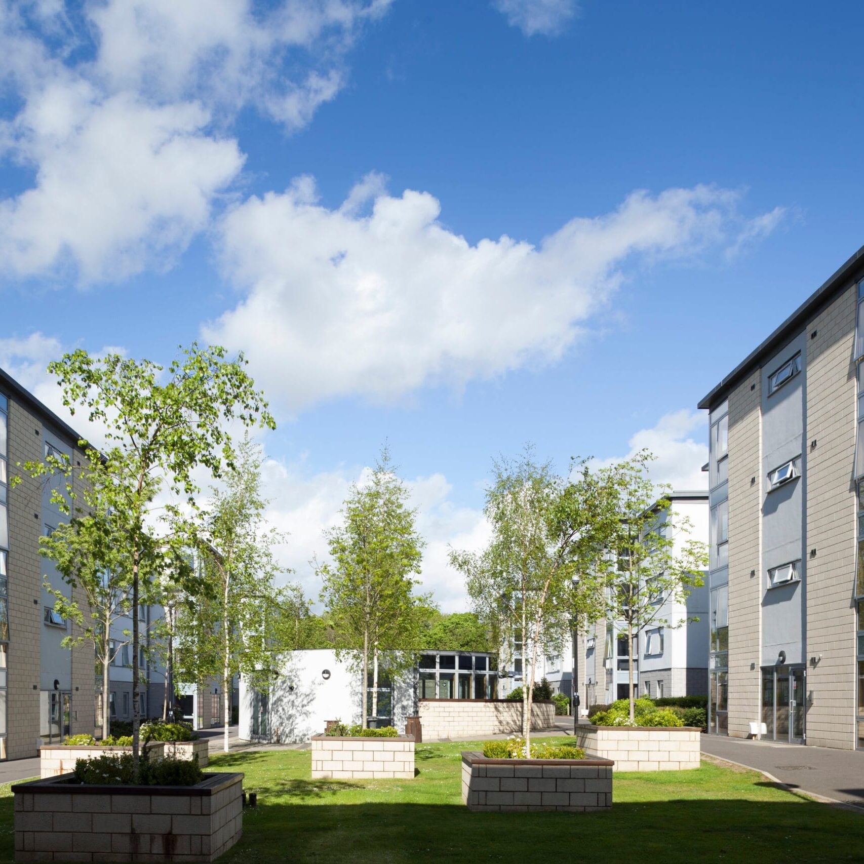 Oxford.International.1601 scaled