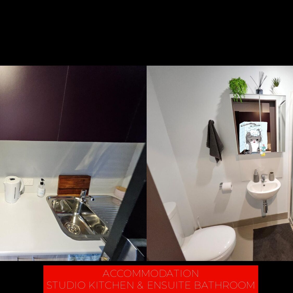 UNIVERSITY OF WOLLONGONG 10 UOW Presentation 22.1.26 page 0046