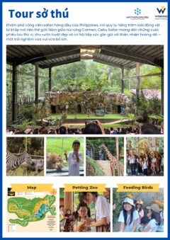 VN SUMMER CAMP 2026 1 5 8 page 0001