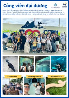 VN SUMMER CAMP 2026 1 5 8 page 0004