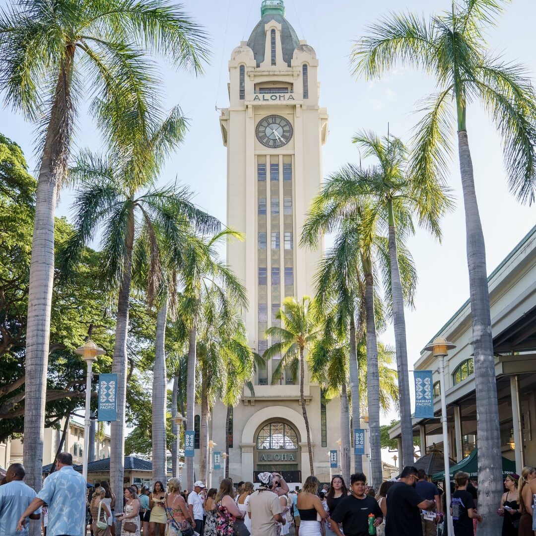 557610857 1217086587125988 1501860038728911324 n