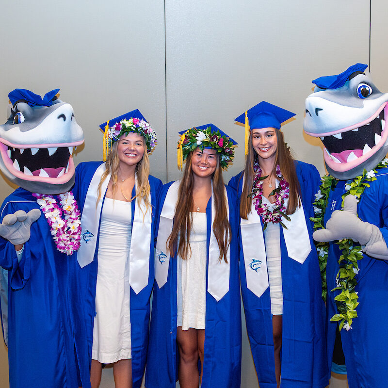 598113469 1271187445049235 9212700153796143792 n