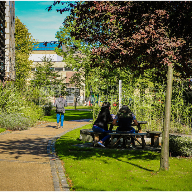 Oxford.International.UoBOIEGImage2