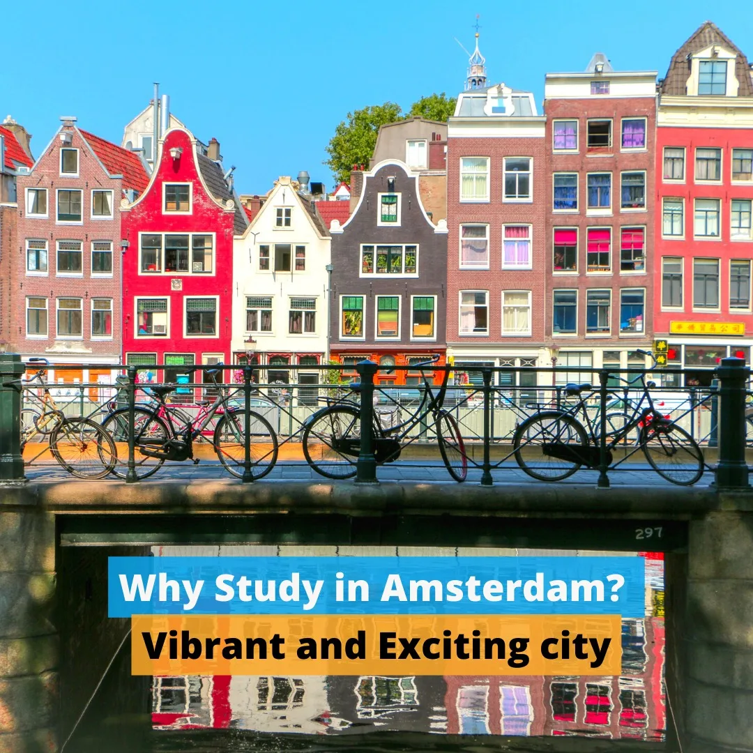 480795224 1065507535593603 2535463089962272601 n