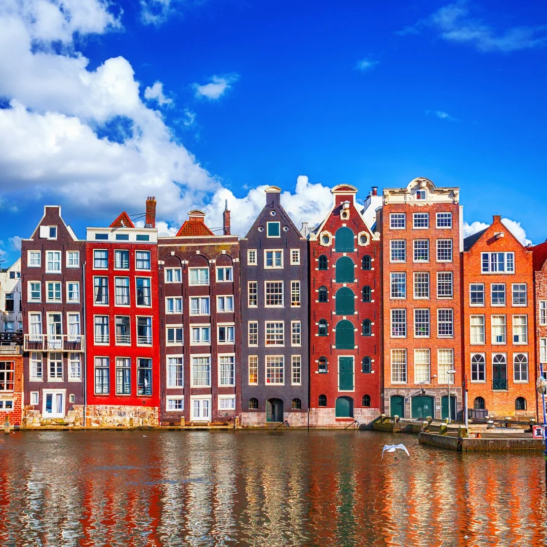 487939220 9307797979303415 5336083369542056025 n