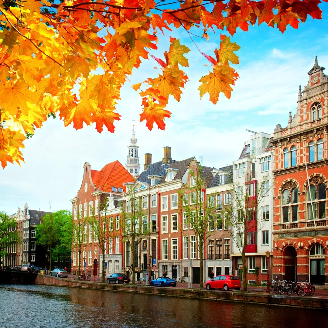 488176177 9307798005970079 7723299909401145521 n