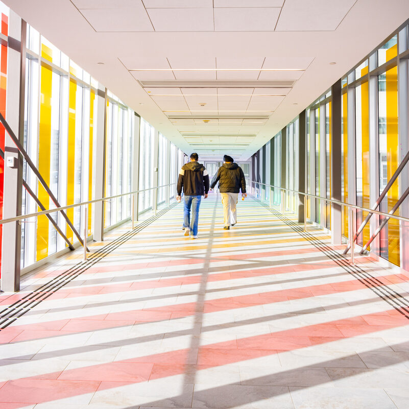 690e5c6d96dec0feda6de633 E13A4638