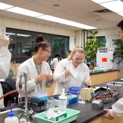 Screenshot 2026 03 20 082146