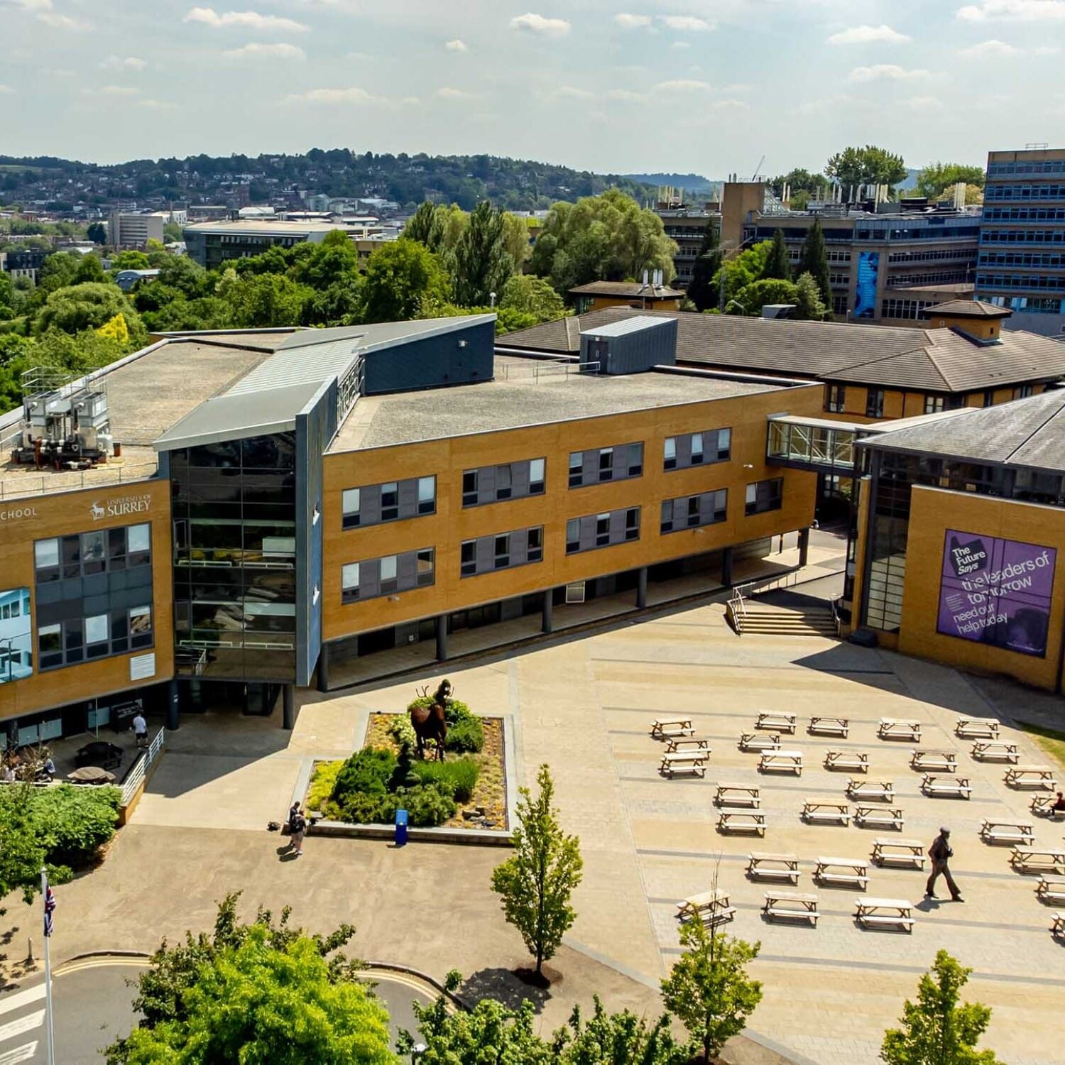 business management course banner