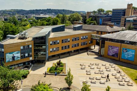 business management course banner