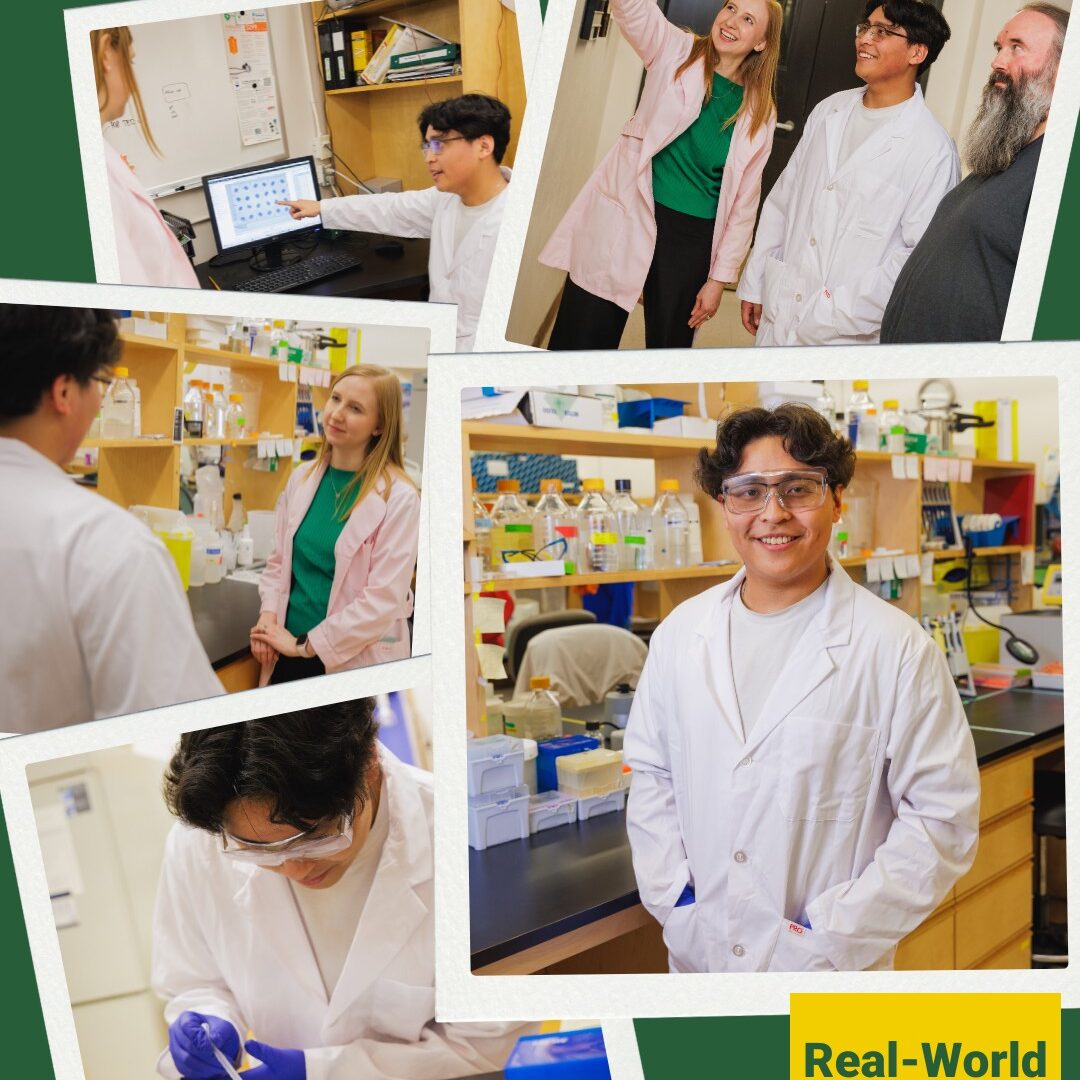 UNIVERSITY OF ALBERTA (U OF A) 9 499710759 1128847592616225 4062994371306715545 n