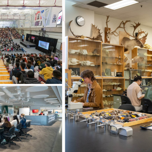 MACEWAN UNIVERSITY 2 Screenshot 2026 04 10 101117