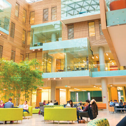 VNTalent Wilfrid Laurier University 1