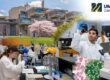 KHOA HỌC XÉT NGHIỆM Y KHOA TẠI UMASS DARTMOUTH