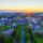 ST. FRANCIS XAVIER UNIVERSITY