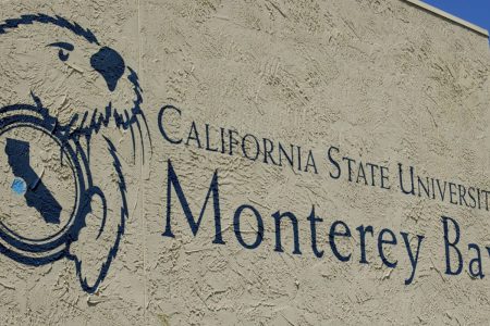 2554 original 2000x8001